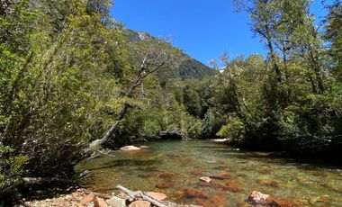 Campo de cordillera en Futrono