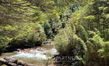 Campo de cordillera en Futrono
