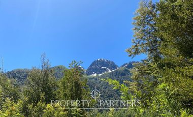 Campo de cordillera en Futrono
