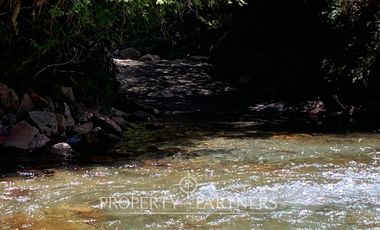 Campo de cordillera en Futrono
