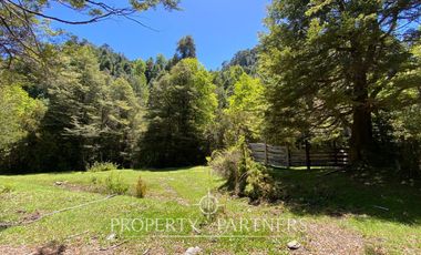Campo de cordillera en Futrono