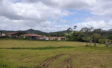 Vendo Terreno Comercial  de 16560mt2 Espino La Chorrera