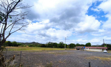 Vendo Terreno Comercial  de 16560mt2 Espino La Chorrera