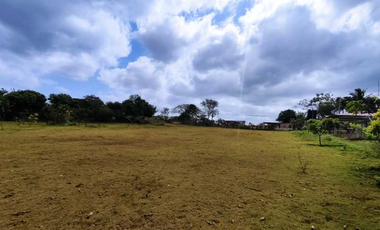 Vendo Terreno Comercial  de 16560mt2 Espino La Chorrera