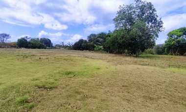 Vendo Terreno Comercial  de 16560mt2 Espino La Chorrera