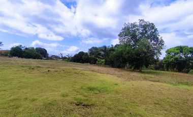 Vendo Terreno Comercial  de 16560mt2 Espino La Chorrera