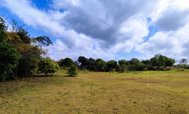 Vendo Terreno Comercial  de 16560mt2 Espino La Chorrera