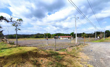 Vendo Terreno Comercial  de 16560mt2 Espino La Chorrera