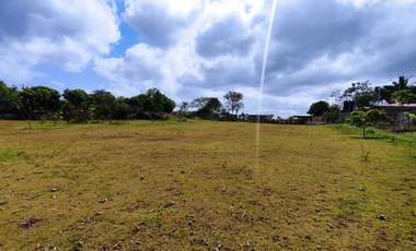 Vendo Terreno Comercial  de 16560mt2 Espino La Chorrera
