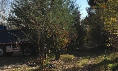 Sitio en Arriendo en ARRIENDO Requinoa, Caletera poniente ruta sur