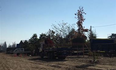 Sitio en Arriendo en ARRIENDO Requinoa, Caletera poniente ruta sur