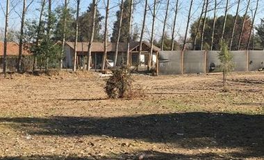 Sitio en Arriendo en ARRIENDO Requinoa, Caletera poniente ruta sur