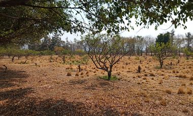 RANCHO, HACIENDA, VENTA, YECAPIXTLA, MORELOS