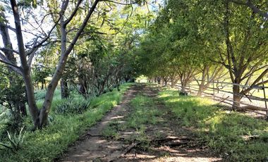 RANCHO, HACIENDA, VENTA, YECAPIXTLA, MORELOS
