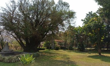 RANCHO, HACIENDA, VENTA, YECAPIXTLA, MORELOS