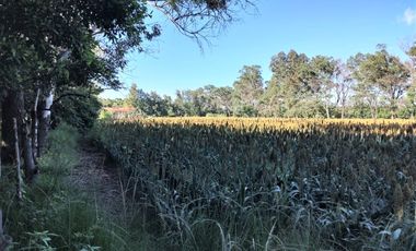 RANCHO, HACIENDA, VENTA, YECAPIXTLA, MORELOS