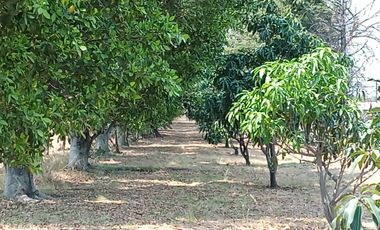 RANCHO, HACIENDA, VENTA, YECAPIXTLA, MORELOS