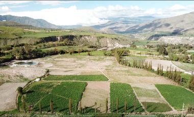 Venta de terreno en Imbaya, canton Antonio Ante, provincia Imbabura
