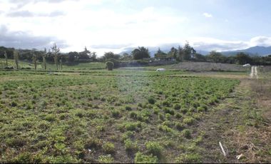 Venta de terreno en Imbaya, canton Antonio Ante, provincia Imbabura