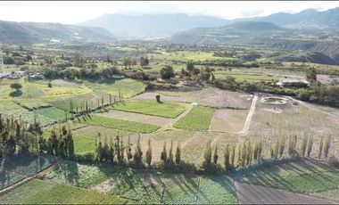Venta de terreno en Imbaya, canton Antonio Ante, provincia Imbabura