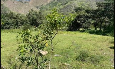 Vendo terreno en Vilcabamba