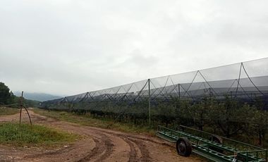 RANCHO EN VENTA HUACHICHIL