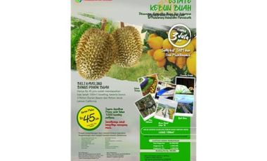 Tanah bonus kebun durian murah kawasan agrowisata bumi hejo Kahuripan Purwakarta