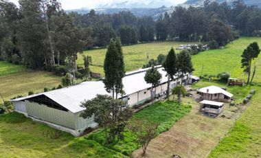 Amaguaña, Galpón en renta, 2000 m2, 3 ambientes, 2 baños, parqueaderos