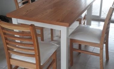 CASA MINIMALISTA DOMSELAAR