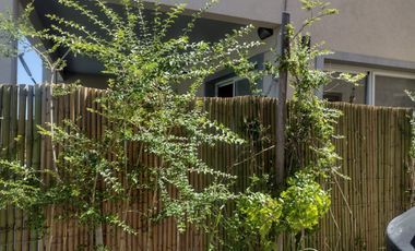 CASA MINIMALISTA DOMSELAAR