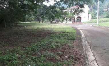 197 Sqm Residential Lot for Sale near Talamban Cebu City in Greenwoods Subdivision