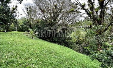 Se Vende Hermoso Terreno en Zona Alta de Altos del Maria