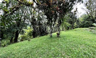 Se Vende Hermoso Terreno en Zona Alta de Altos del Maria