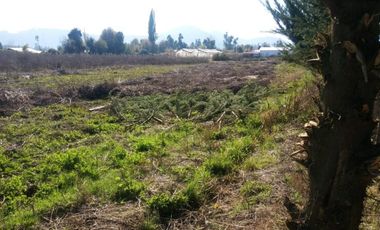 Vendo terreno en Corel camino a Vilches