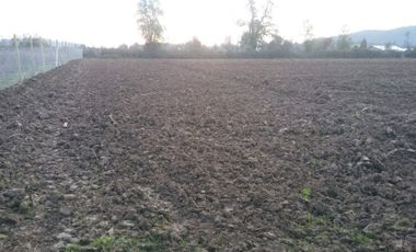 Vendo terreno en Corel camino a Vilches