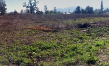 Vendo terreno en Corel camino a Vilches