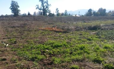 Vendo terreno en Corel camino a Vilches