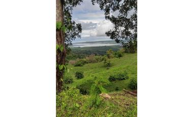 VENDO TERRENO DE  31 HECTAREAS TITULADAS