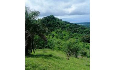 VENDO TERRENO DE  31 HECTAREAS TITULADAS