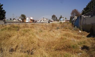 Terreno comercial en renta en Juárez (Los Chirinos)