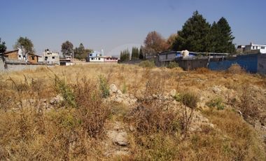 Terreno comercial en renta en Juárez (Los Chirinos)