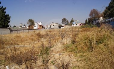 Terreno comercial en renta en Juárez (Los Chirinos)