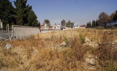Terreno comercial en renta en Juárez (Los Chirinos)