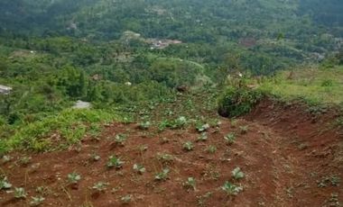 Dijual Tanah Perkebunan Murah 300 Ha Di Pangalengan Bandung