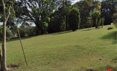 finca en venta en vereda el totumo. Cod V4168