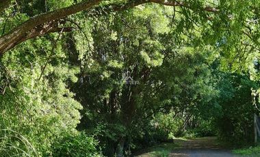 Sitio en Venta en Camino Cerro Colorado KM.3,5