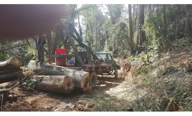 VENDO FUNDO DE 245 HA. EN LA MERCED - CHANCHAMAYO