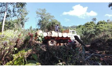 VENDO FUNDO DE 245 HA. EN LA MERCED - CHANCHAMAYO