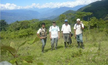 VENDO FUNDO DE 245 HA. EN LA MERCED - CHANCHAMAYO