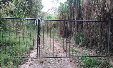 VENDO FUNDO DE 245 HA. EN LA MERCED - CHANCHAMAYO